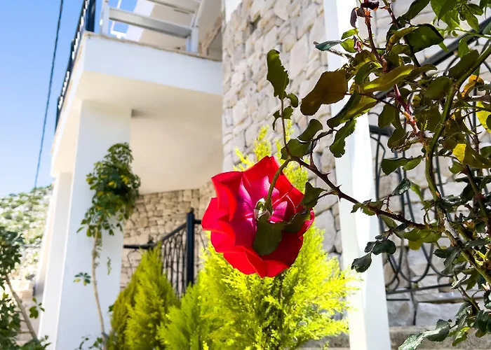 Hidayetin Yeri Ξενοδοχείο 3*