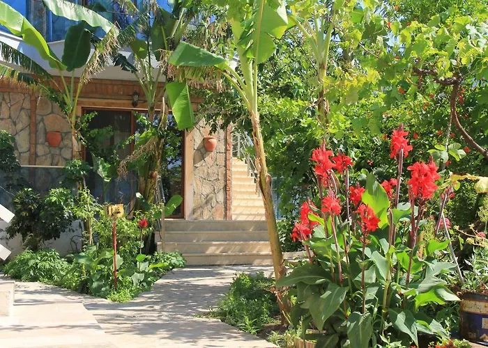 Ξενοδοχείο Hidayetin Yeri 3*